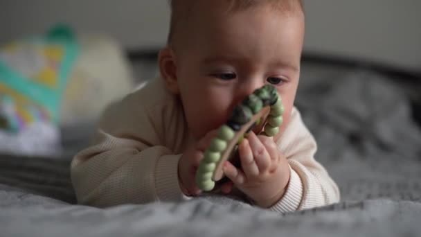 子供が歯のおもちゃを噛む 幼児は最初の歯を成長させる 男の子は親のベッドでおもちゃをかむ かなり6ヶ月の赤ん坊の男の子 現実的な幼児の家の肖像画 — ストック動画