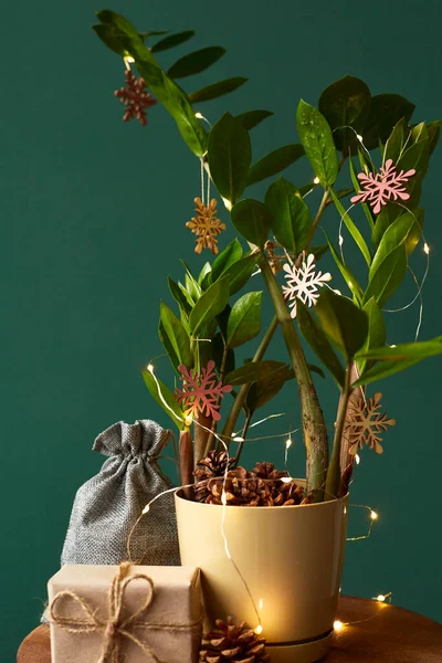 라스는 나무로 장난감으로 장식되어 크리스마스 트리는 식물로 만들어 졌습니다 상자는 — 스톡 사진