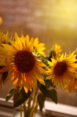 Bunch of sunflowers in vase on windowsill