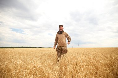 Ukrainian military man in wheat field. Ukrainian wheat fields and war upcoming food crisis. Armed Forces of Ukraine