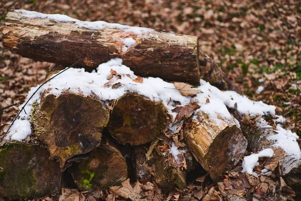 Stos Kłód Pod Śniegiem Drewno Opałowe Ułożone Przygotowane Zimę — Zdjęcie stockowe