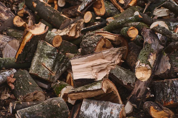 Rąbane Drewno Opał Stos Kłód Drzewa Zostały Wycięte Podzielone Drewno — Zdjęcie stockowe