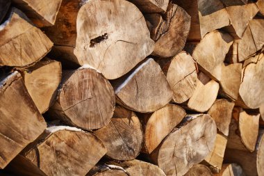 Kesilmiş odun. Bir yığın kütük. Dağlardaki Ukrayna köyünün kırsal kesimi. Karpatya dağlarında kış turistik yolları. Borzhava, Ukrayna