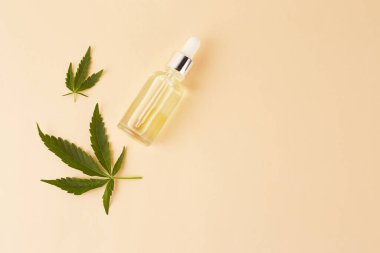 Esrar esaslı petroldür. CBD yağı, marihuana yeşili marihuanayla dolu bir şişe içinde. Tıbbi marihuana. Bitkisel ilaç fabrikası. Metin için boşluk.