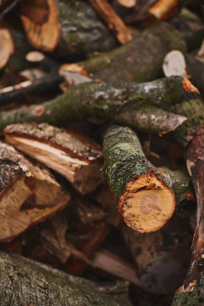 Rąbane Drewno Opał Stos Kłód Drzewa Zostały Wycięte Podzielone Drewno — Zdjęcie stockowe