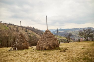Dağlardaki Ukrayna köyünün kırsal kesimi. Karpat Dağları 'nda ilkbahar başları.