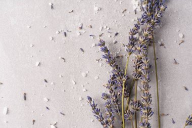 Pişirmek için lavanta tuzu. Lavander tuzu ve kurutulmuş lavanta çiçeği. Lavanta spa seti