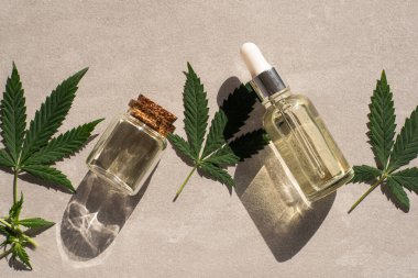 CBD kenevir ürünleri. CBD yağlı cam şişe, kenevir yaprağı. Petrol özlü tıbbi kenevir. Kozmetik CBD yağı
