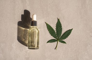 CBD kenevir ürünleri. CBD yağlı cam şişe, kenevir yaprağı. Petrol özlü tıbbi kenevir. Kozmetik CBD yağı