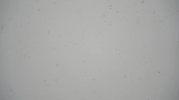 Сильный Снегопад Фоне Серого Зимнего Неба Объектив Размыт Фокусе Медленное — стоковое видео