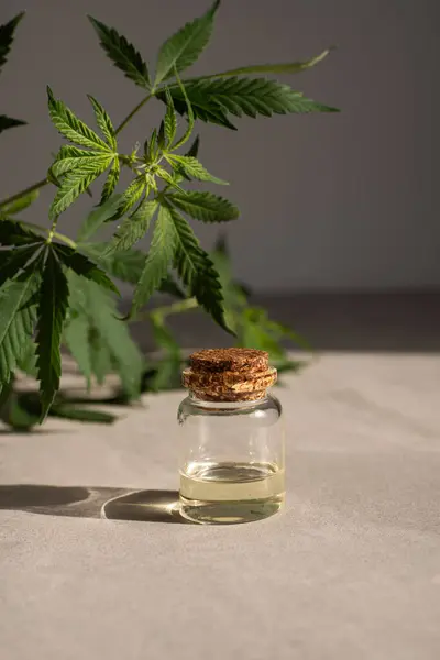 Cbd Hanfprodukte Glasflasche Mit Cbd Hanfblätter Medizinisches Cannabis Mit Extrakt Stockbild