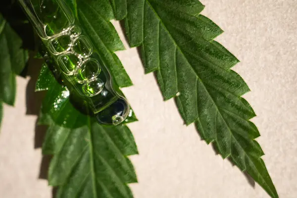 Cbd Hanfprodukte Glasflasche Mit Cbd Hanfblätter Medizinisches Cannabis Mit Extrakt Stockfoto