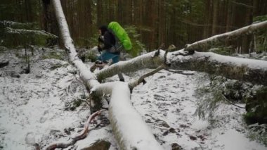 Sırt çantası ve yürüyüş direkleriyle karlı ormanda yürüyüş yapmak. İzler karla kaplı.