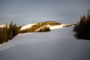 Karpatya Dağlarında Kabin ve Çam Ağaçlarıyla Karlı Dağ Sırtı