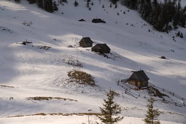 Dağlardaki eski kulübeler. Ukrayna 'daki Karpat Dağı' nda kış sırtı. Kış yürüyüşü