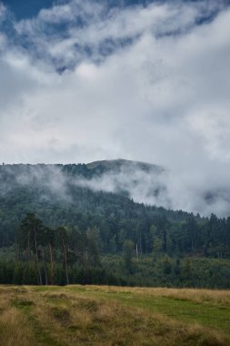 Carpathian Sıradağları 'nda yuvarlanan yeşil tepeler ve puslu dağlar. Yaz boyunca Borzhava çiftliği. Karpat Dağları, Ukrayna