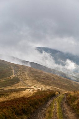 Karpat Dağları 'ndaki Bulutlar Arasındaki Sarmal Dağ Yolu. Yaz boyunca Borzhava çiftliği. Karpat Dağları, Ukrayna