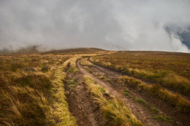 Karpat Dağları 'ndaki Bulutlar Arasındaki Sarmal Dağ Yolu. Yaz boyunca Borzhava çiftliği. Karpat Dağları, Ukrayna
