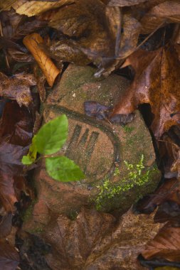 A moss-covered stone peeking through autumn leaves in a forested area clipart