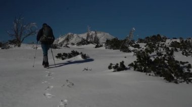 Karpatlar 'daki Karlı Dağ Arazisi' nde yürüyüş. Kış boyunca Gorgany poligonu. Karpat Dağları, Ukrayna
