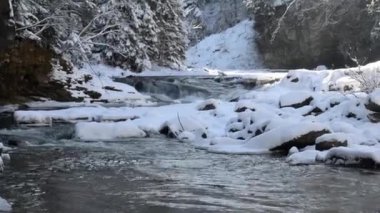 Karla kaplı bir nehirde kış manzarası. Yumuşak akan sular ve sakin bir orman ortamında donmuş kayalar. Ukrayna 'nın Karpat Dağlarında Kış Yürüyüşü