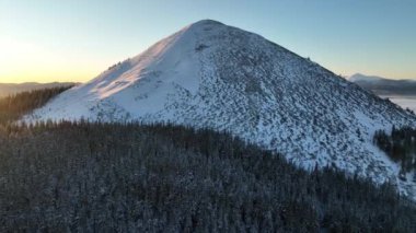 Karla kaplı dağ, sakin bir doğal ortamda güneşin doğuşu sırasında sık ve yemyeşil ormanın üzerinde yükselir. Kış boyunca Gorgany poligonu. Karpat Dağları, Ukrayna