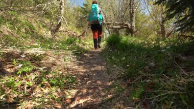 Öğleden sonra, güzel bir dağ manzarasında yürüyüş direkleri ile manzaralı patikalarda yürüyüş yapmak. Skole Beskids, Carpathian Dağları, Uk yağmuru