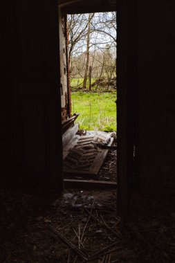 Eski terk edilmiş kapı aralığı, ilkbahar güneşinin erken saatlerinde canlı yeşil bir manzaraya çıkar.