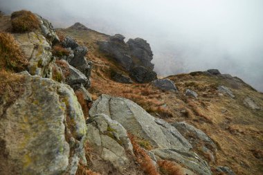 Sis, sonbaharda sakin bir günde uzak bir dağ manzarasında kayalık araziyi kaplar. Karpat Dağları, Ukrayna 'da sonbahar yürüyüşü