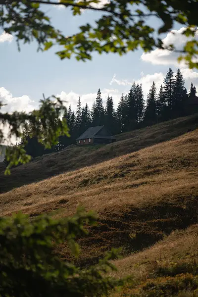 Güneşli bir öğleden sonra ağaçların arasında bir yamaçta yuva yapmış bir kulübe. Ukrayna 'daki Karpat Dağları' nda yürüyüş 