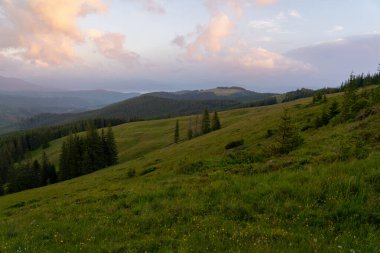 Uzak dağları ve renkli bulutları olan yemyeşil orman manzarasının günbatımı manzarası. Kukul menzili. Karpat Dağları, Ukrayna