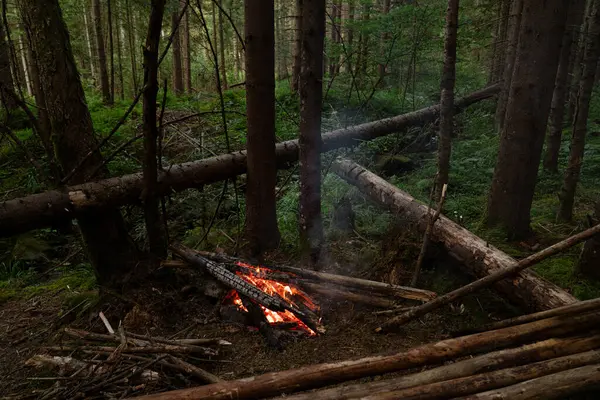 Alacakaranlık saatlerinde sık bir ormanda ağaçlarla çevrili bir kamp ateşi. Gorgany menzili. Ukrayna 'daki Karpat Dağları' nda yürüyüş