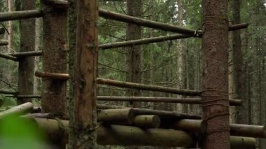 Gözlerden uzak ağaç ev, gür bir orman ortamında, yüksek ağaçlarla çevrili. Karpat Dağları, Ukrayna 'da yaz yürüyüşü