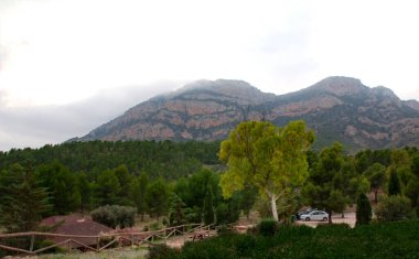 Önünde güzel bir ağaç olan dağ manzarası. Rincon Bello, Agost, İspanya. Yüksek kalite fotoğraf