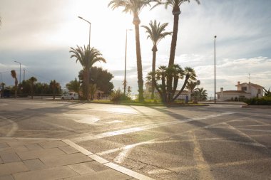 Palmiye ağaçlarının siluetleri şafak vakti gökyüzünün arka planında. Güzel güneş ışığı. Arka planda bir kavşakta yol işaretleri var. Yüksek kalite fotoğraf