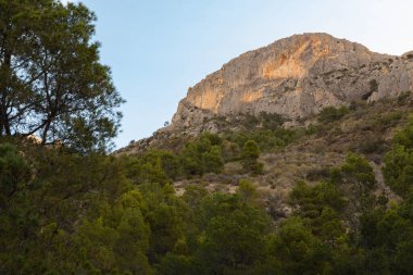 Dağ tepeleri ve ayaklarda ağaçlar. İspanya, Busot. Güneşli bir gün. Yüksek kalite fotoğraf