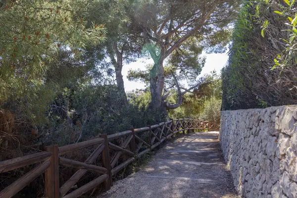 Tahta ve taştan korkulukları olan ahşap merdivenler doğal koşullarda. Yüksek kalite fotoğraf