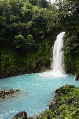 Kosta Rika 'da kristal berrak mavi su ile şelale