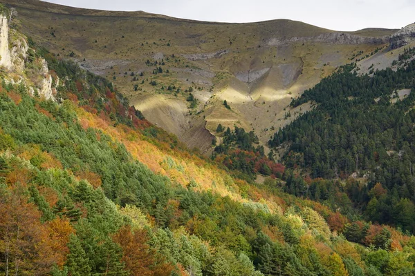 stock image excursions to enjoy autumn and its colorful landscapes and the fall of leaves