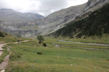 Aragon 'daki Ordesa y Monteperdido Ulusal Parkı' nda şelale ve dağlarla güzel bir gezi.