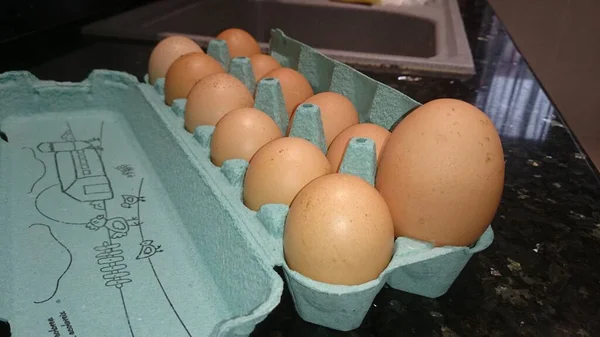 Bir düzine yumurta arasında kocaman organik bir yumurta.