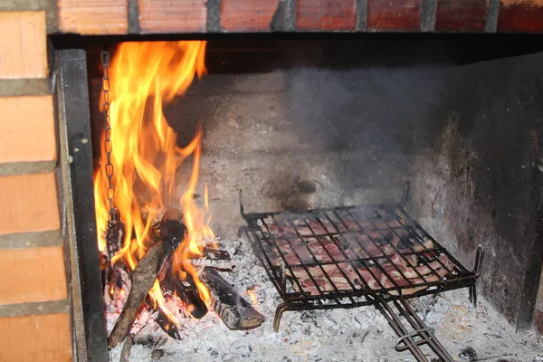 享受烤肉和篝火的乐趣 — 图库照片