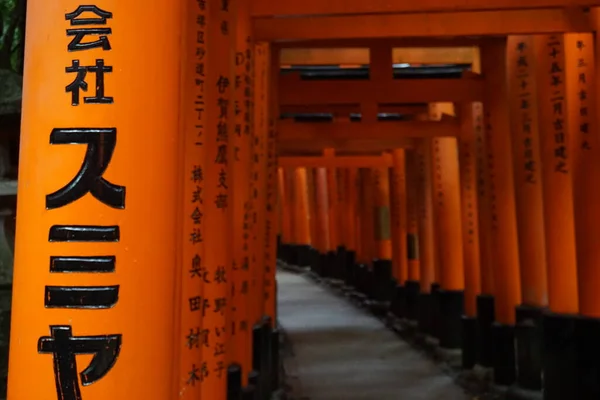 Japonya 'nın binaları, kültürü ve gelenekleri