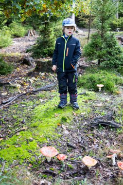 Bir çocuk ormandaki kırmızı mantarlara bakıyor, mantar uçuruyor. Yüksek kalite fotoğraf