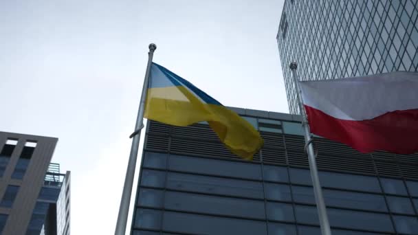Oekraïense Vlag Wind — Stockvideo