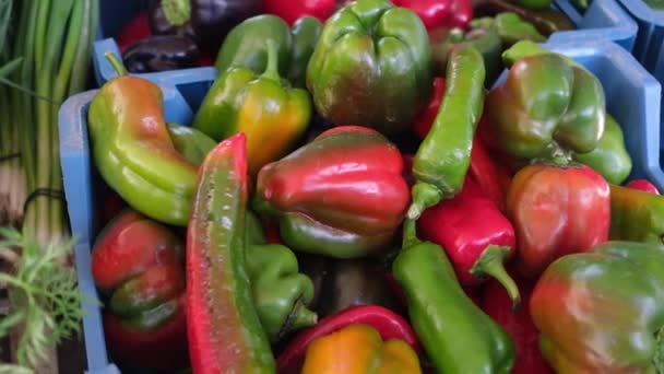 農家市場で新鮮な赤パプリカ — ストック動画