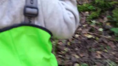 İki küçük çocuk ormanda bir sopayla