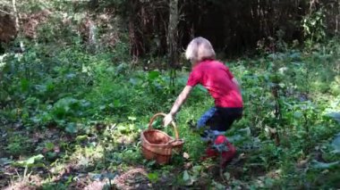 Ormanda sepeti olan küçük bir çocuk.