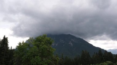 Hallstatt yakınlarındaki ormanın üzerindeki bulutlar ve dağlar