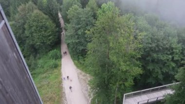 Ormanda gözlem güvertesi